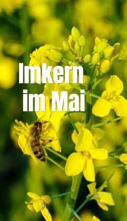 Mai
